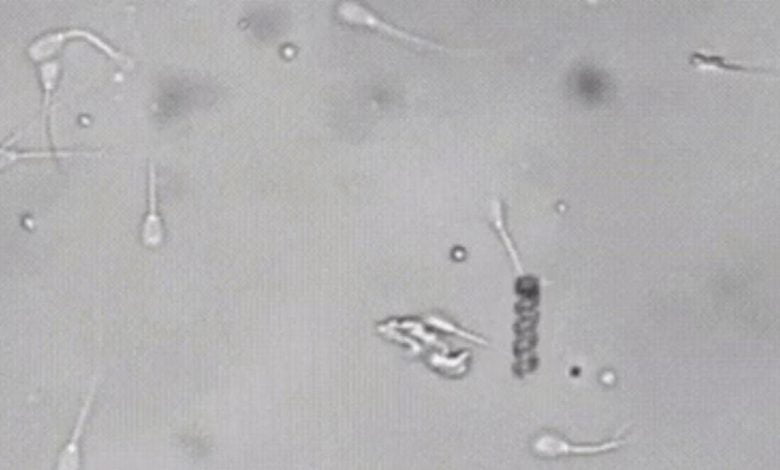 Nano sperm https://huglero.com